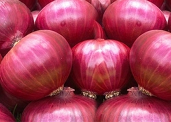 Red Onion from NAMO EXIM