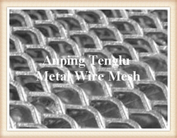 Expanded Metal Wire Mesh from ANPING TENGLU METAL WIRE MESH CO.LTD. 