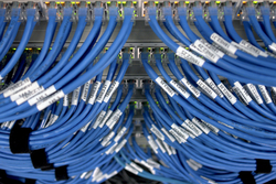 Network Cabling from CROSSWORDS GENERAL TRADING LLC