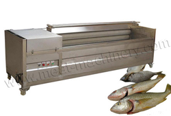 Fish Scaling Machine from AMISY MEAT PROCESSING MACHINERY