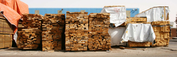 Timber Dealers in UAE