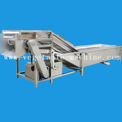 Ginger Spray Washing Machine from AMISY MEAT PROCESSING MACHINERY