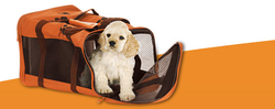 PET RELOCATION SERVICES IN UAE