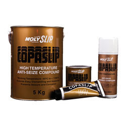 Copaslip Anti-Seize Lubricants Copaslip Anti-Seize Lubricant - 500gm from SKY STAR HARDWARE & TOOLS L.L.C