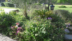 Garden maintinance from ABDULNASER AL HASHEMI LANDSCAPE GARDENING