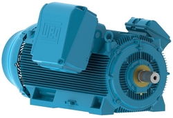 Electric motors from TECHNOMAX INDUSTRIAL SERVICES LLC