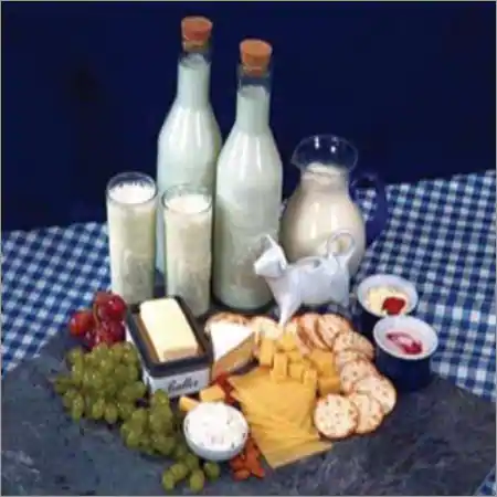 Milk & Dairy Products from SHYAM SUNDER EXPORT HOUSE
