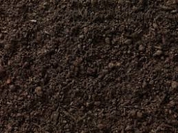 Sweet Soil Supplier in Sharjah  from DUCON BUILDING MATERIALS LLC