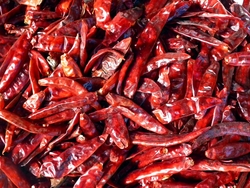 RED CHILLY from ETERNITY EXPORTS