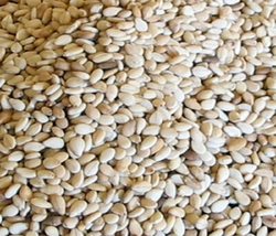 Sesame Seeds from CUMBRIAN CONSULT LIMITED