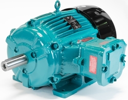 Python Electric Motors In Dubai. from MURAIBIT SHIP SPARE PARTS TRADING LLC
