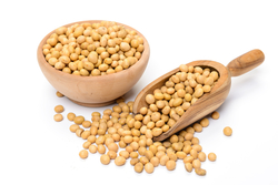 Soybean Isoflavones from FUYAN PHARM(HENAN) INC