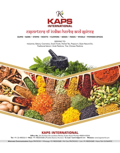 KAPS INTERNATIONAL