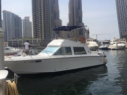 33 Feet Riverside BOAT CHARTER AND RENTAL  from CENTAURUS CHARTER