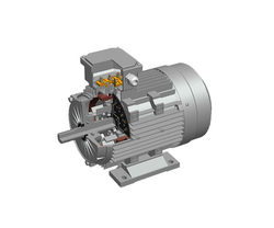 Asynchronous starting permanent magnet synchronous motor