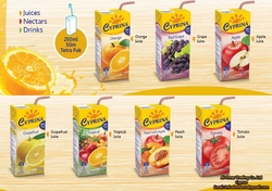 Fruit Juice in 250ML from AL-OMAR TRADING CO. LTD.