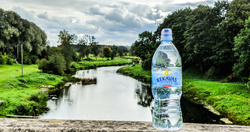 Natural Mineral Water 1L PET bottled Artesian Water  from SIA SIMEKS