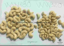 Vietnamese Cashew Nut Kernels WW180