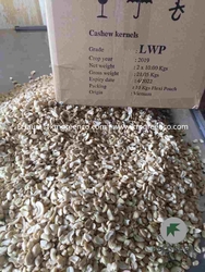 Vietnamese Cashew Nut Kernels LWP