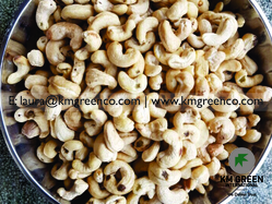 Vietnamese Cashew Nut Kernels SK1
