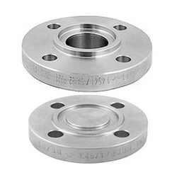 SS Tongue & Groove Flange