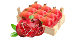 Pomegranate from RBK INTERNATIONAL GULF, LLC