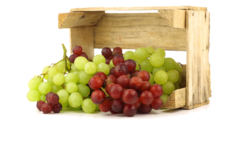 Grapes from RBK INTERNATIONAL GULF, LLC