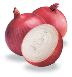 Red Onion  from NIHAR EXIM 