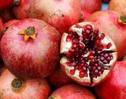 FRESH POMEGRANATE from ESSAR EXPORTS