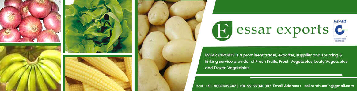 ESSAR EXPORTS