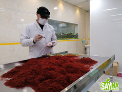 Iranian Pure Saffron from SAYNA SAFIR