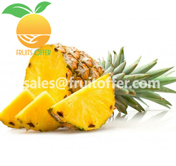 Pineapple from DONG PHUONG VIET NAM HARVEST IMPORT EXPORT COMPANY - FRUIT OFFER