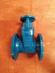GATE VALVE (RESILENT SEAT) (ISO FLANGE) from FOURESS EQUIPMENTS TRADING LLC