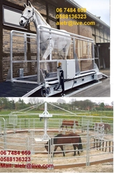 horse walker machine dog walker machine horse training machine supplier dealer in dubai uae from AMIR INDUSTRIAL EQUIPMENT'S 
