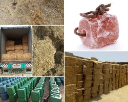 ANIMAL AND POULTRY FEED MFRS AND SUPPLIERS