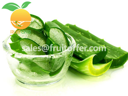 Aloe Vera from DONG PHUONG VIET NAM HARVEST IMPORT EXPORT COMPANY - FRUIT OFFER