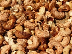 CASHEW NUTS from GLOBAL AGRO SUPPLY