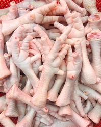 chicken feet from GLOBAL AGRO SUPPLY