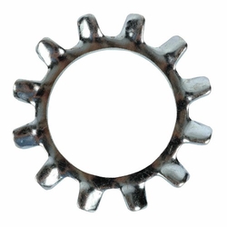 External Tooth Lock Washer from SHREE ASHAPURA STEEL CENTRE