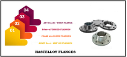 Hastelloy Flanges from VISHAL TUBE INDUSTRIES