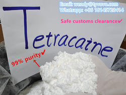 99% purity safe customs clearance Tetracaine hydrochloride/Tetracaina hydrochloride powder wholesale 
