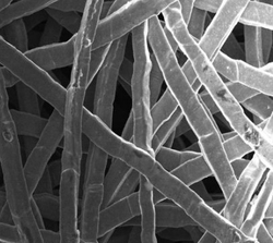 Grid porous structure titanium fiber felt for gas diffusion layer