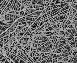 Grid-porous metal Titanium fiber felt for Liquid diffusion layer
