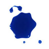Patent Blue V Food Color from MEGHA INTERNATIONAL