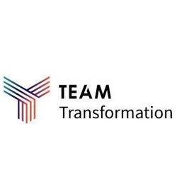 EDUCATIONAL CONSULTANTS from TEAM TRANSFORMATION INSTITUTE