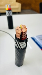 Copper Armoured/Unarmoured LT Power Cable