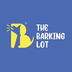 PET SHOPS from THE BARKING LOT