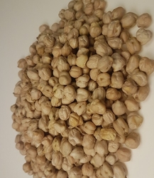 Kabuli Chickpeas