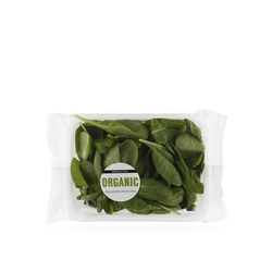 organic baby spinach salad  from SPINNEYS