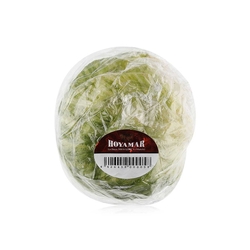  lettuce Spain from SPINNEYS